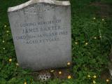 image of grave number 66908